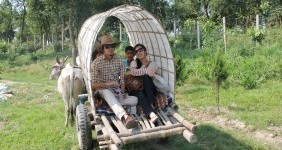 Bullock Cart